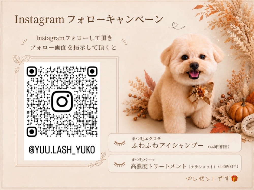 《yuu lash》