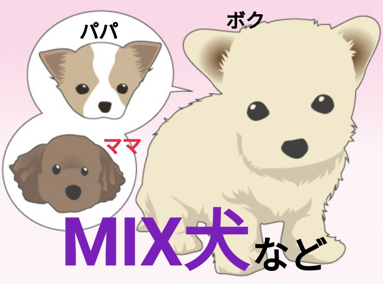 シャンプーコース（MIX犬・表にない犬種など） (1匹)