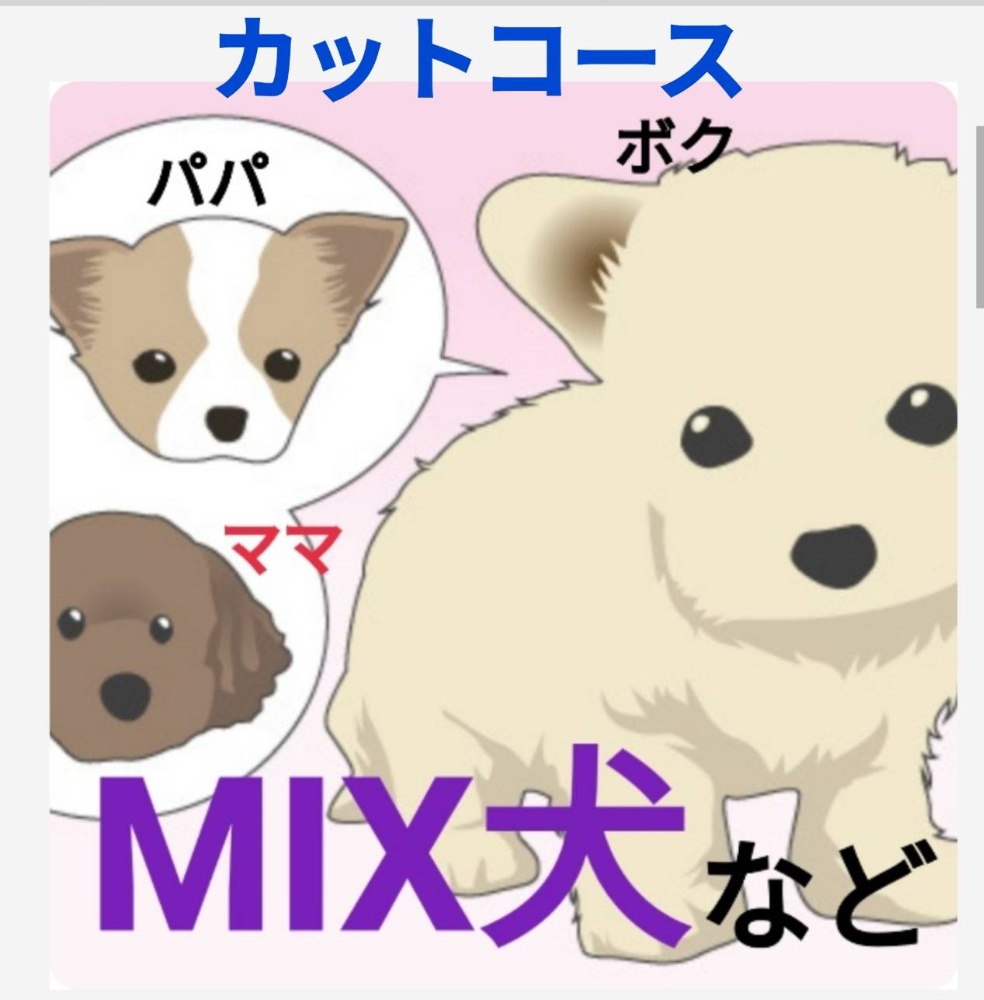 カットコース（MIX犬・表にない犬種など）　（1匹）