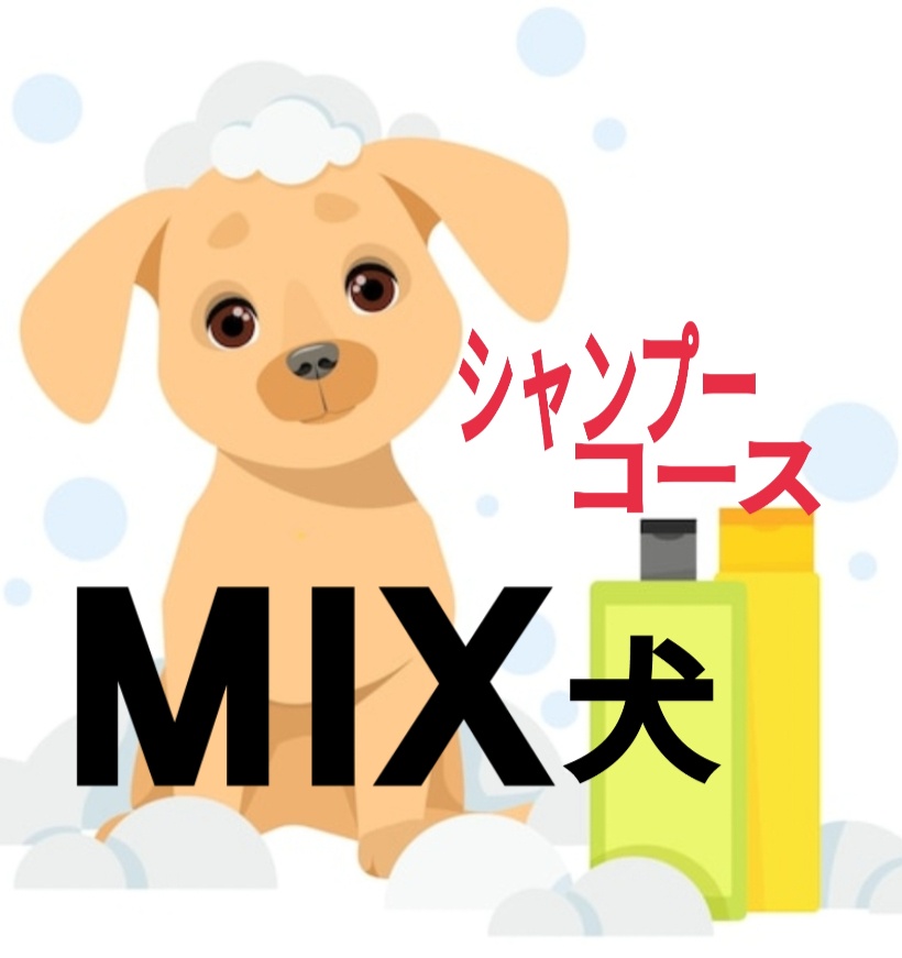 シャンプーコース（MIX犬・表にない犬種など） (1匹)