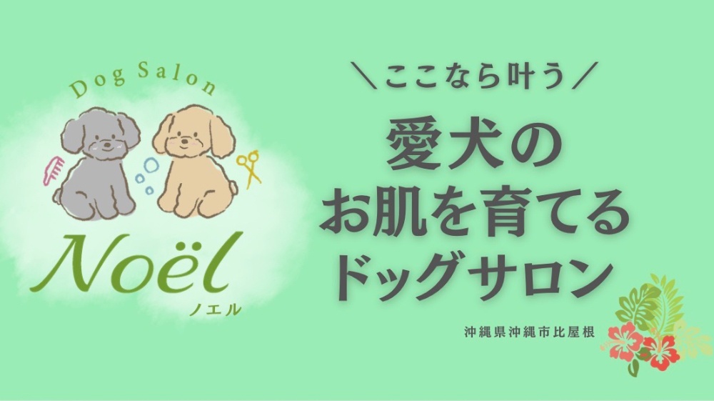 DogSalon Noel