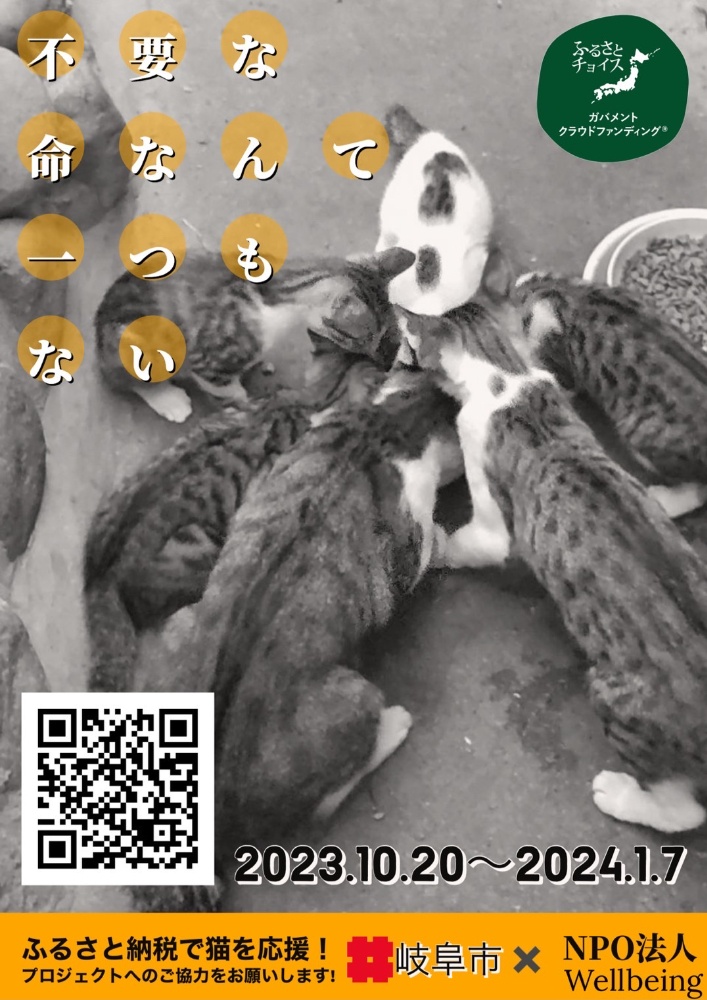 10月8日北塚会館にて保護猫譲渡会