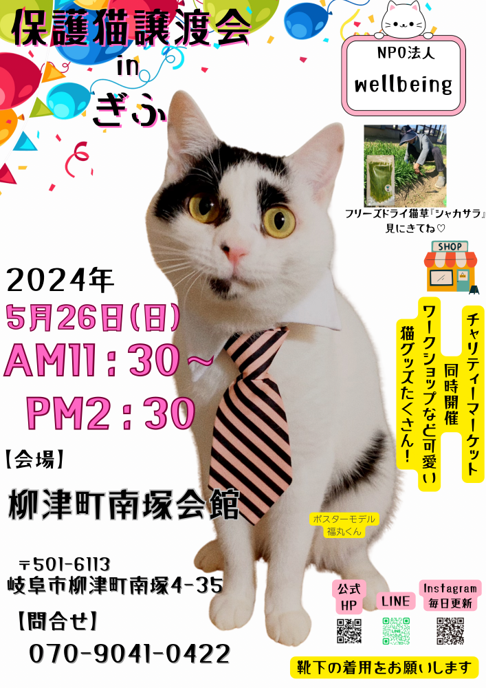 10月8日北塚会館にて保護猫譲渡会