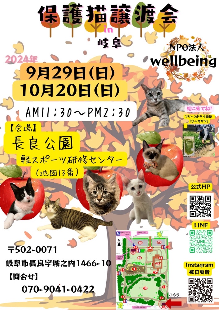 10月8日北塚会館にて保護猫譲渡会