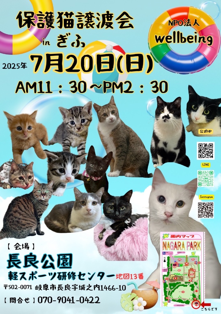10月8日北塚会館にて保護猫譲渡会