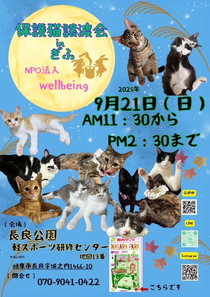 10月8日北塚会館にて保護猫譲渡会