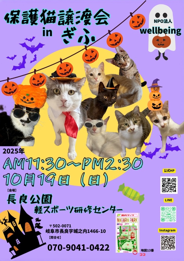 10月8日北塚会館にて保護猫譲渡会