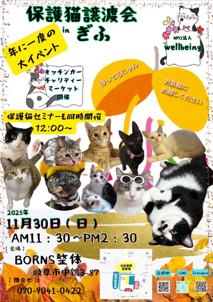 10月8日北塚会館にて保護猫譲渡会