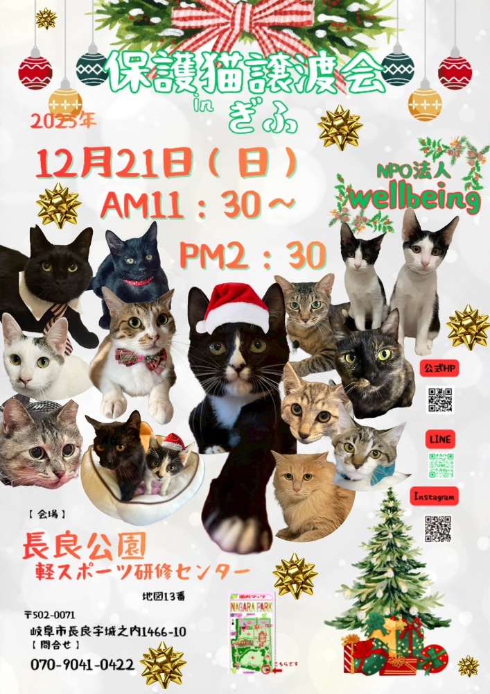 10月8日北塚会館にて保護猫譲渡会