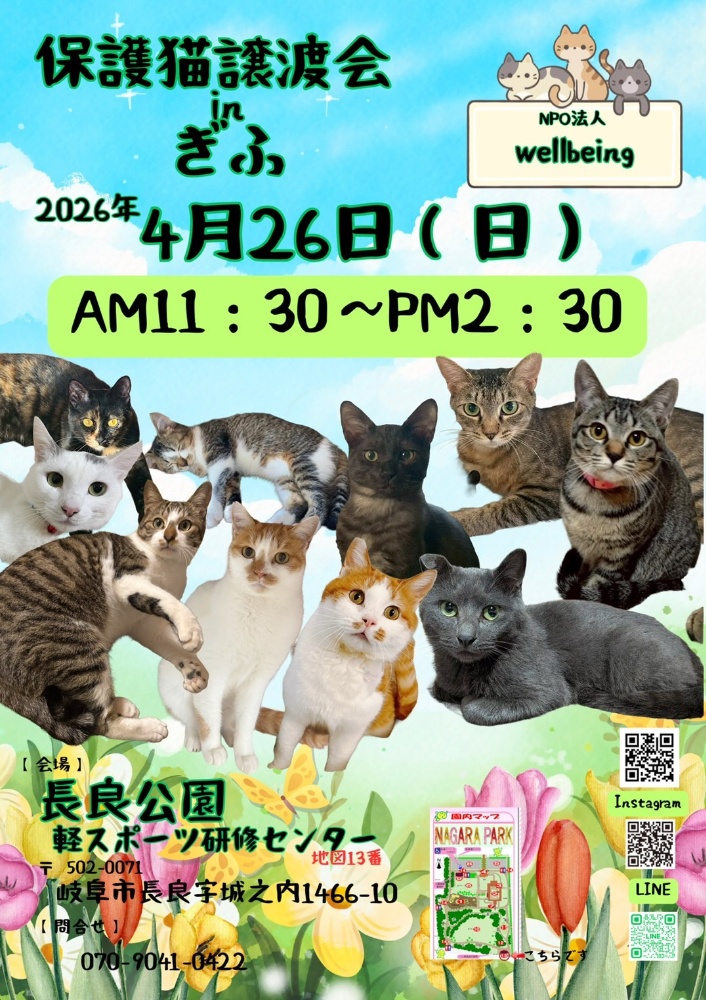 10月8日北塚会館にて保護猫譲渡会