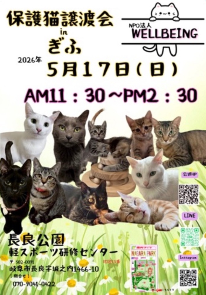 10月8日北塚会館にて保護猫譲渡会