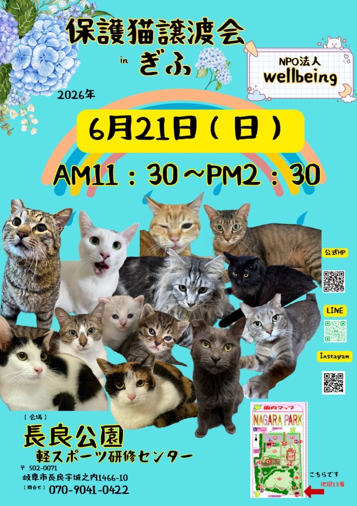 10月8日北塚会館にて保護猫譲渡会