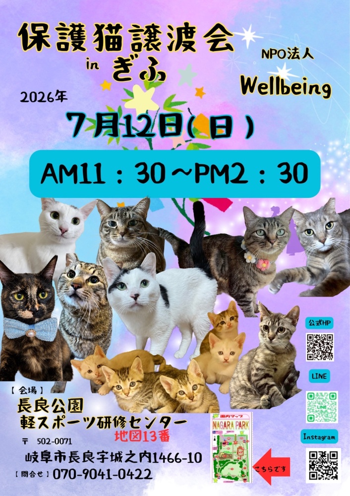 10月8日北塚会館にて保護猫譲渡会