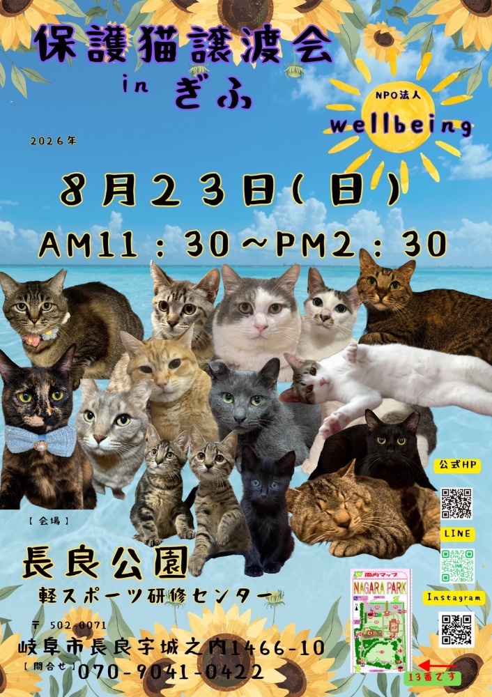 10月8日北塚会館にて保護猫譲渡会