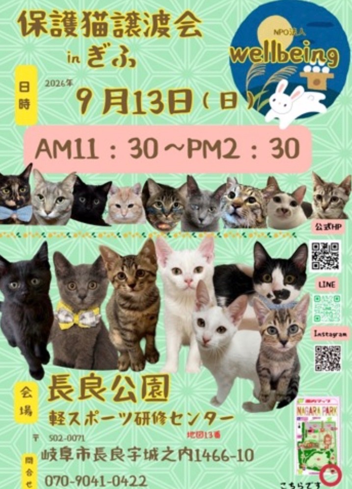 10月8日北塚会館にて保護猫譲渡会