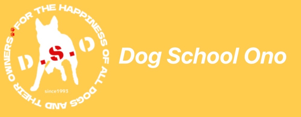 Dog School Ono