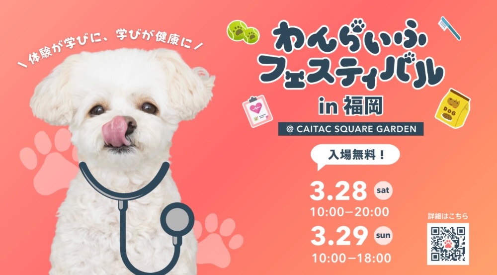 わんらいふフェスティバル