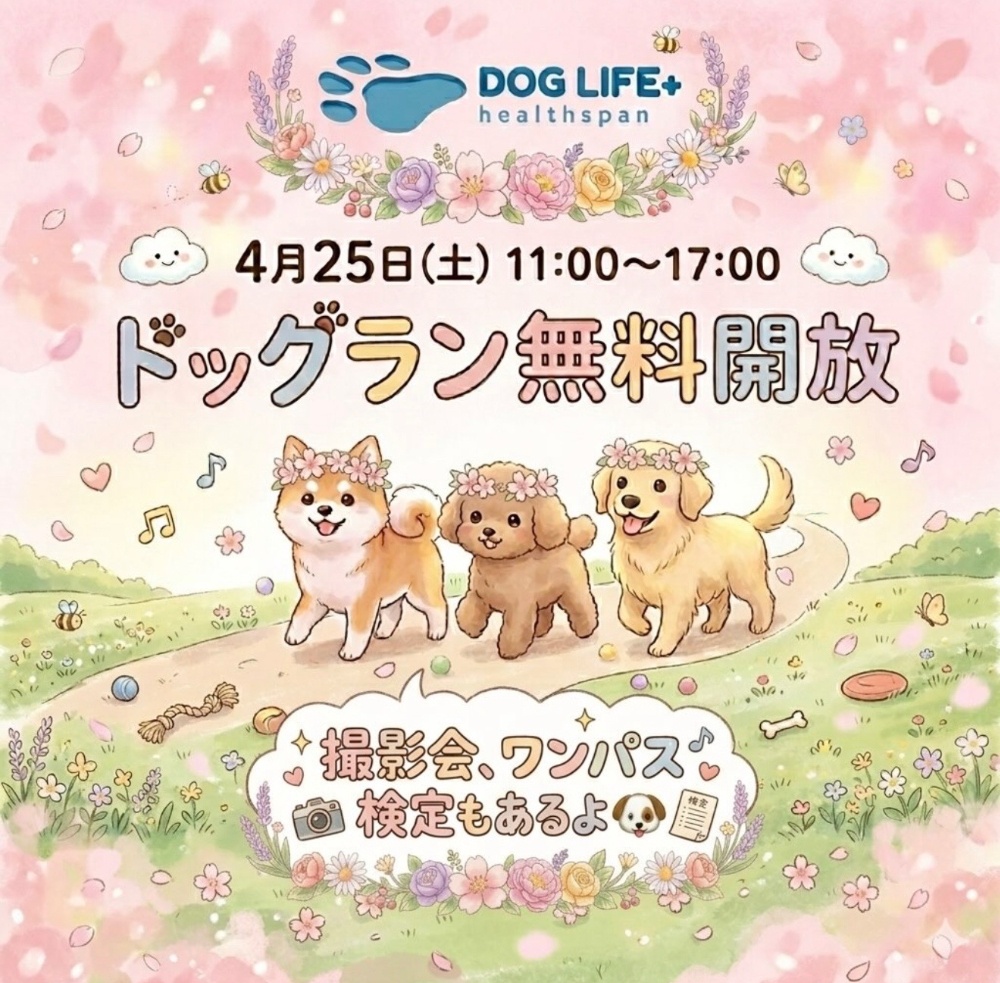 DOGLIFE＋