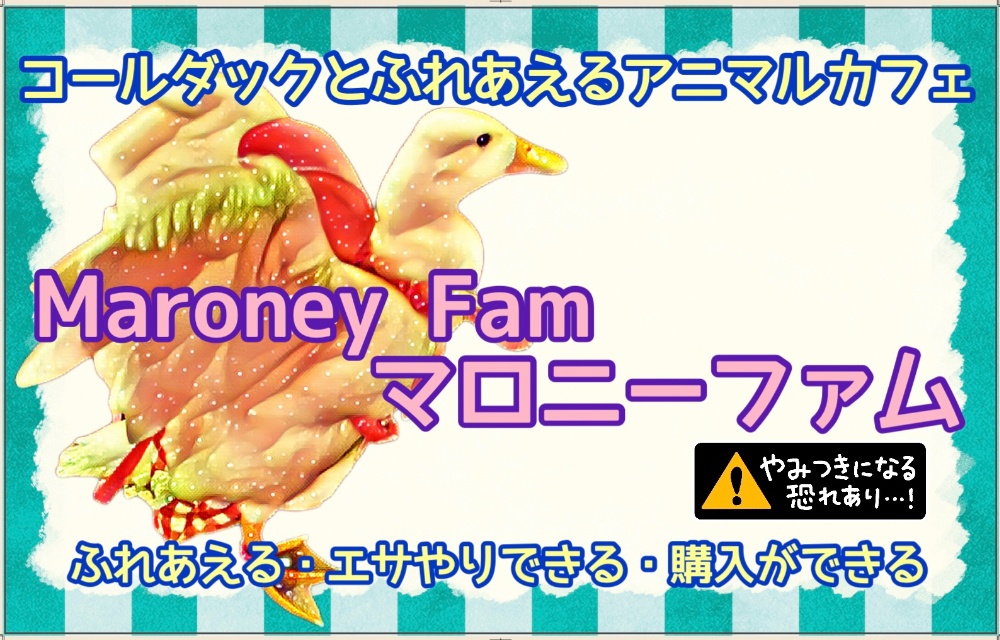 Maroney fam コールダックとふれあえるアニマルカフェ