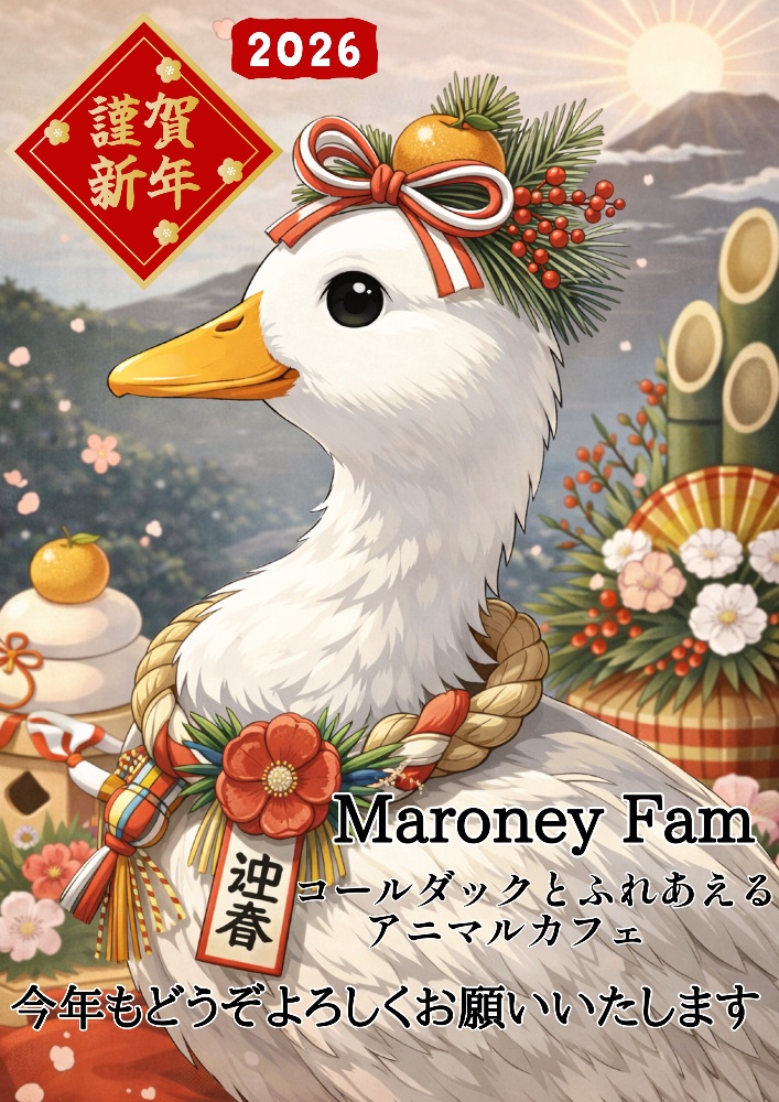 Maroney fam
 コールダックとふれあえるアニマルカフェ