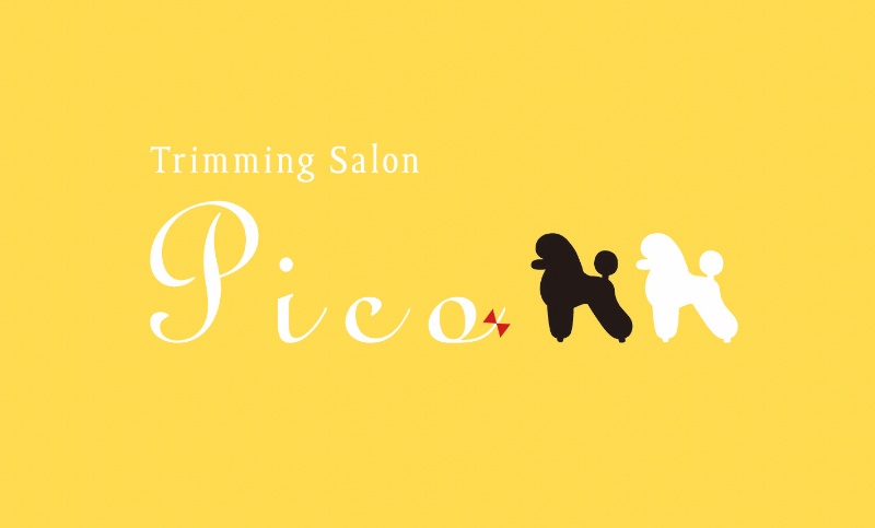 Trimming Salon Pico