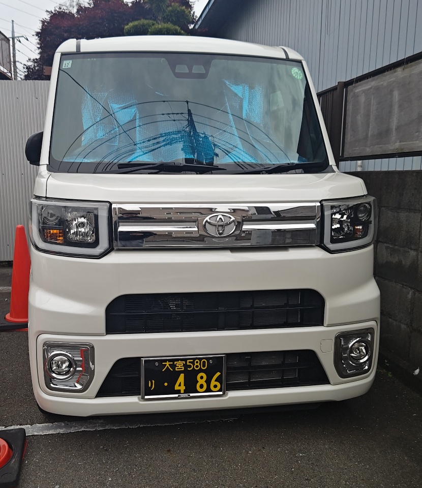 ペットタクシー ピクシスメガ