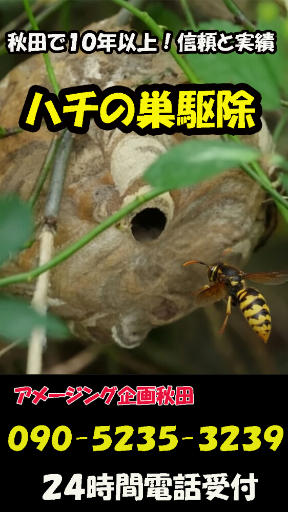 【秋田蜂駆除】秋田ハチ駆除業者
秋田でスズメバチ駆除・ハチ駆除・蜂の巣駆除はアメージング