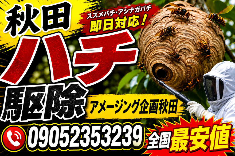 【秋田蜂駆除】秋田ハチ駆除業者
秋田でスズメバチ駆除・ハチ駆除・蜂の巣駆除はアメージング