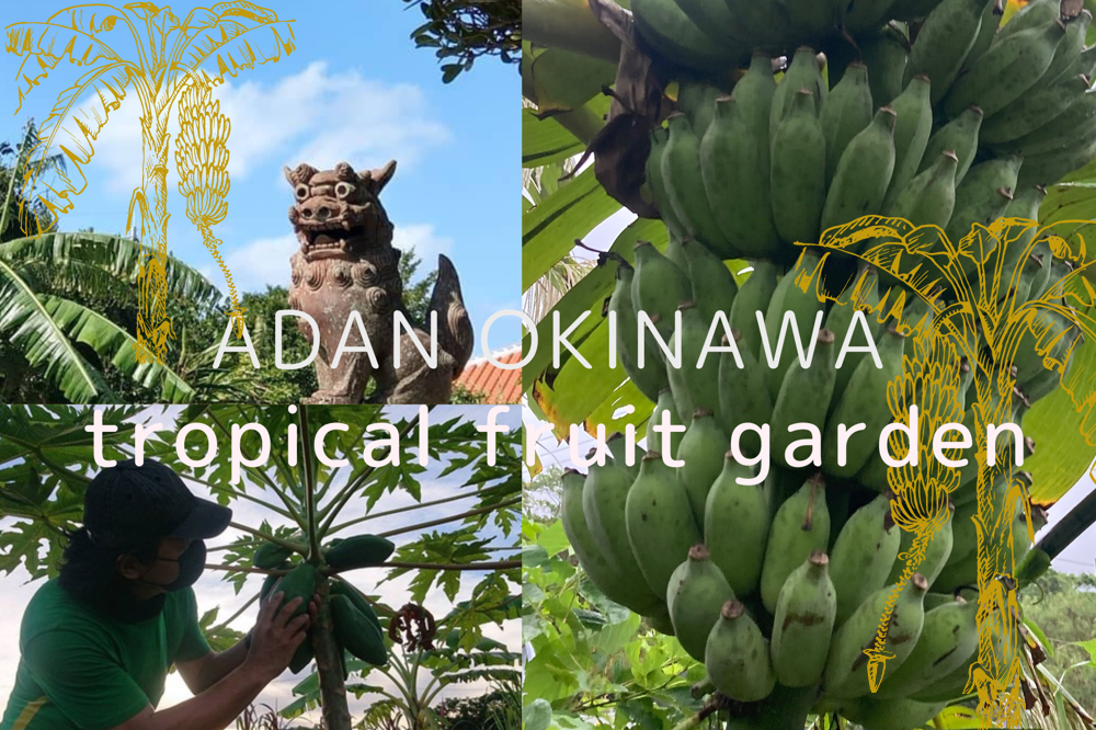 特定商取引法表記 | ADAN OKINAWA アダン沖縄