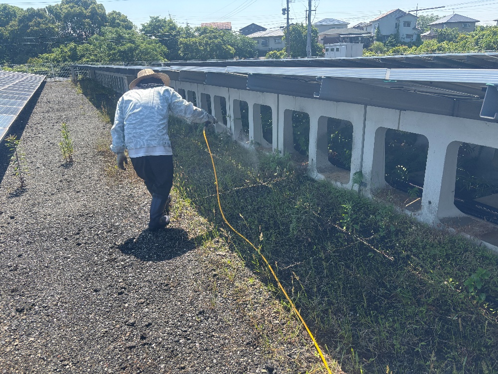 九州　山口県の太陽光メンテナンス　除草専門店　SPPサポート　草刈り　除草剤