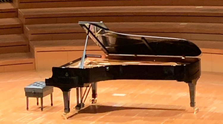 コンサートグランドピアノの調律前の画像　ピアノ調律　鈴木正博