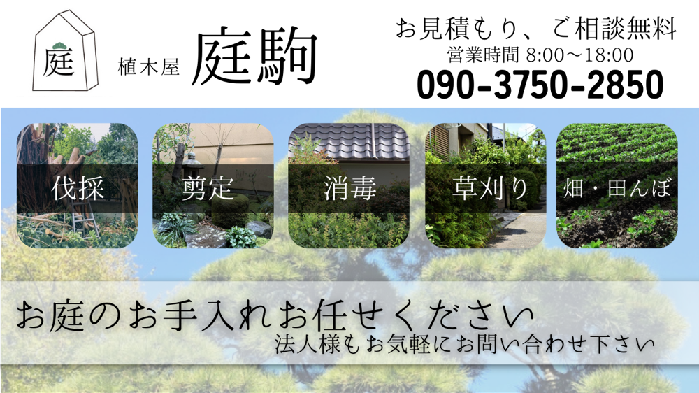 大阪府阪南市にある植木屋、駒庭のHPです。造園業。お庭のお手入れはお任せください。法人様も個人様もお気軽にお問い合わせください。