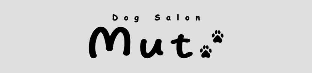 Dog Salon Mut