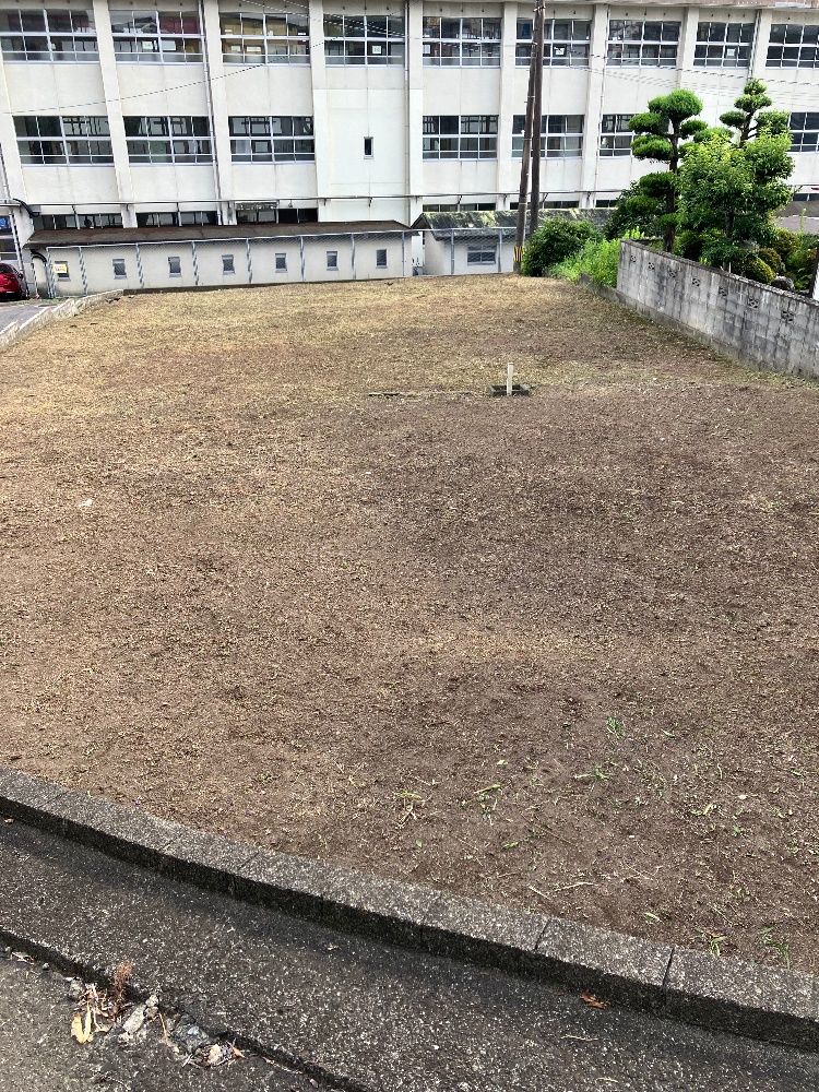 事例：庭の草刈り（空き地・敷地） AFTER（作業後）