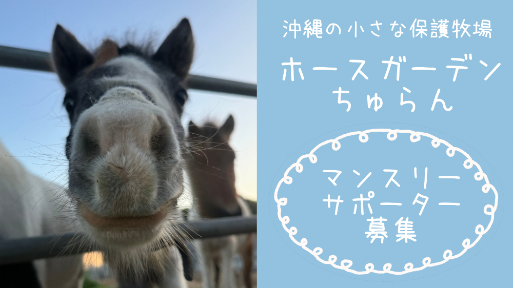マンスリーサポーター募集中