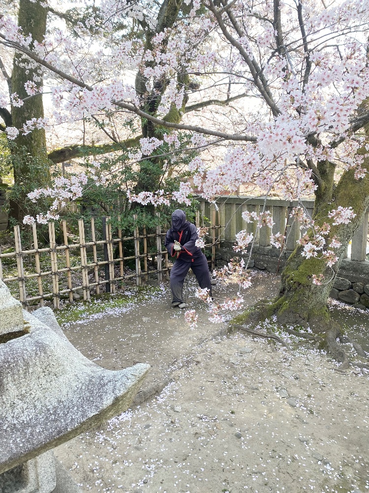 宇多須神社の境内にある忍者