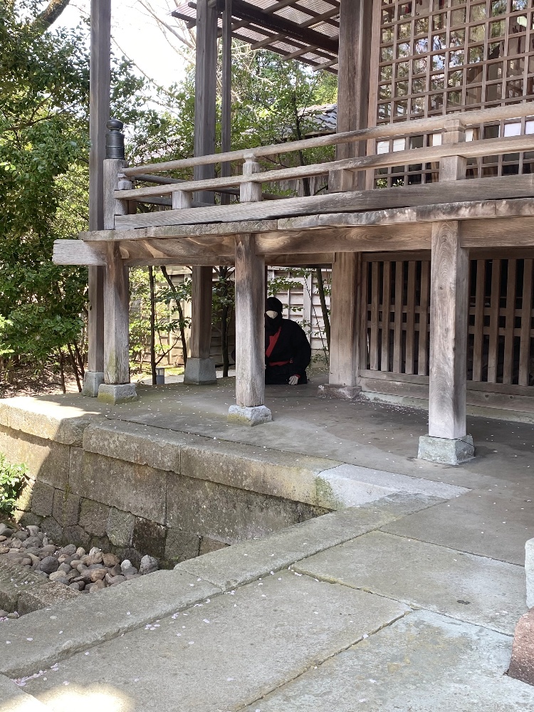 宇多須神社の境内にある忍者