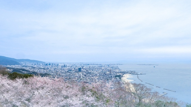 就労ビザや永住ビザ等の申請代行・産廃収集運搬許可等の許認可は、行政書士まるいち法務事務所にお任せ下さい！ 