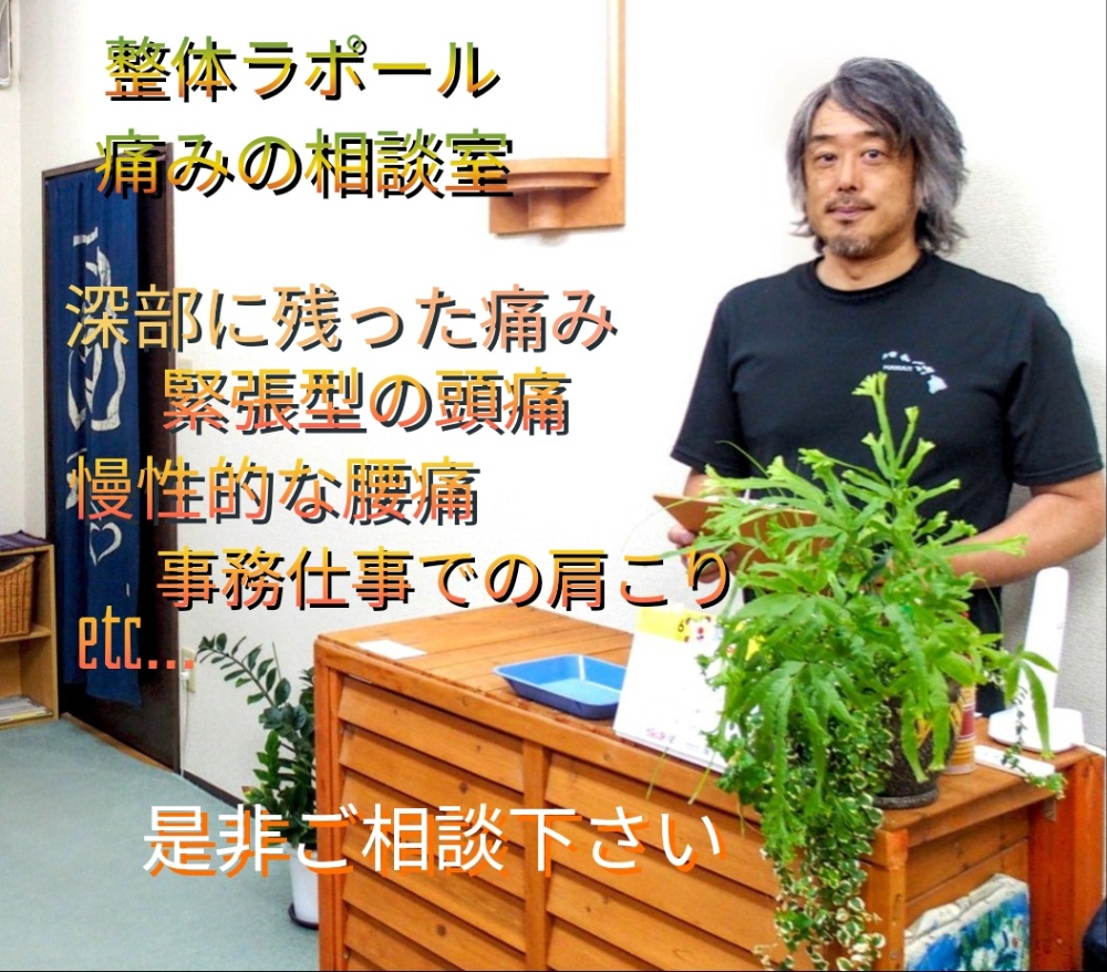 整体ラポール痛みの相談室の院長先生