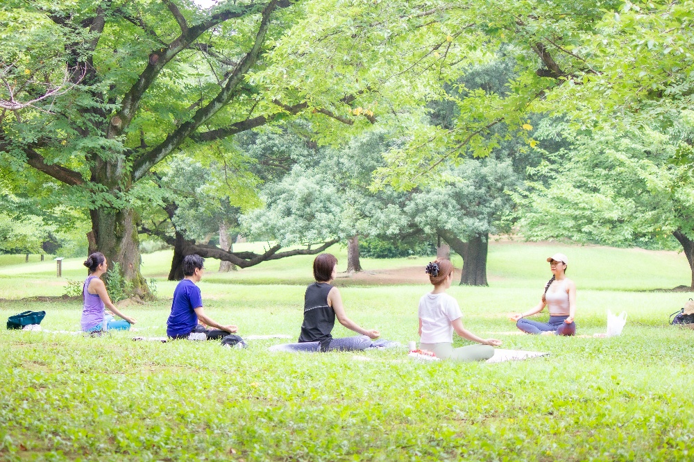 パークヨガで瞑想を楽しむ人々