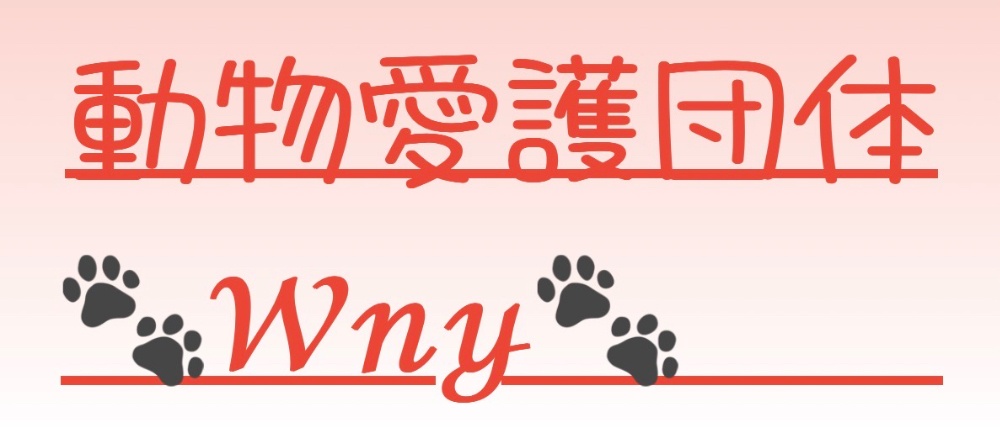 
動物愛護団体
🐾𝒲𝓃𝓎🐾
わんにゃんゆー


