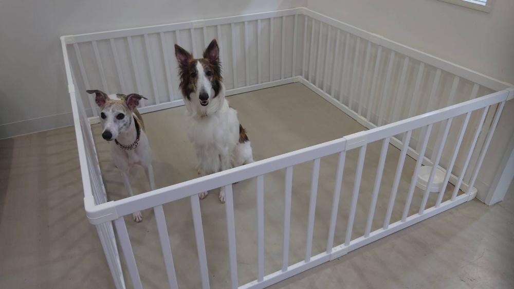 大田区トリミングサロン | 大田区 羽田 ペットサロン＆ホテルJJ