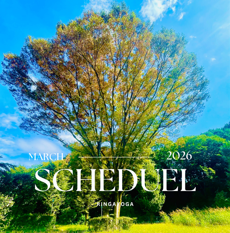 RingaYoga(リンガヨガ）3月スケジュール表紙・木
