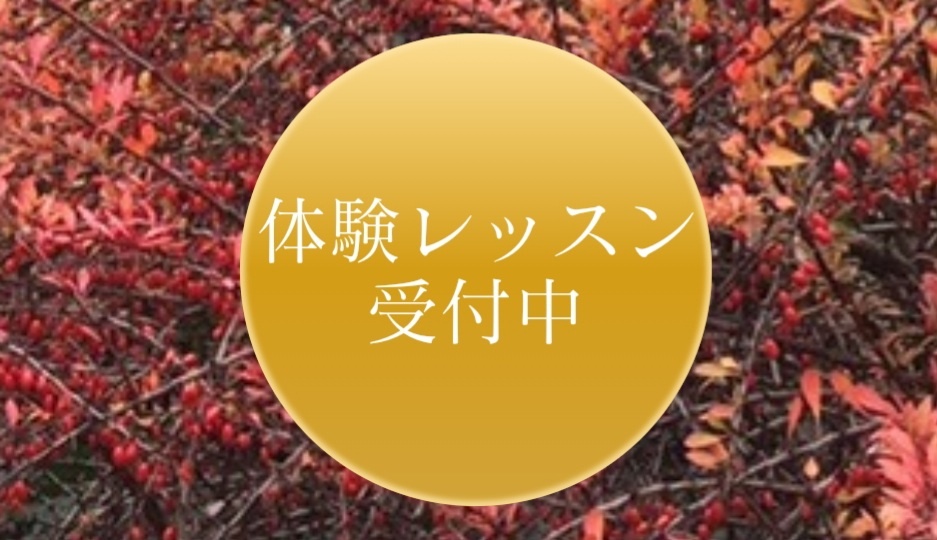 音楽教室アンシャンテの体験レッスンお申し込みフォーム