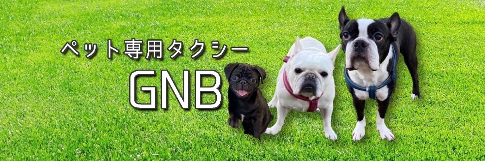 守口市出発
ペットタクシー/GNB