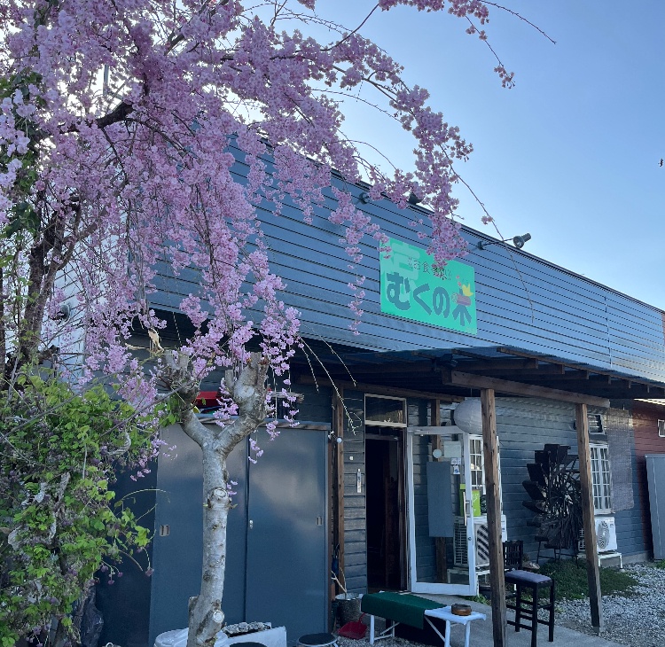 お食事処　むくの木