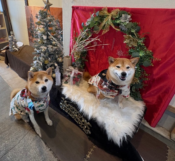 R'ohana 
　　 wankogoods
 ロハナ
　　わんこグッズ