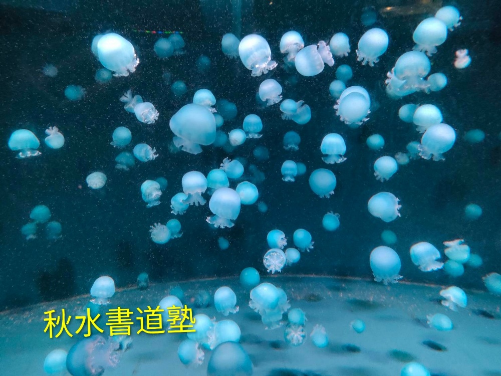 AIで作成