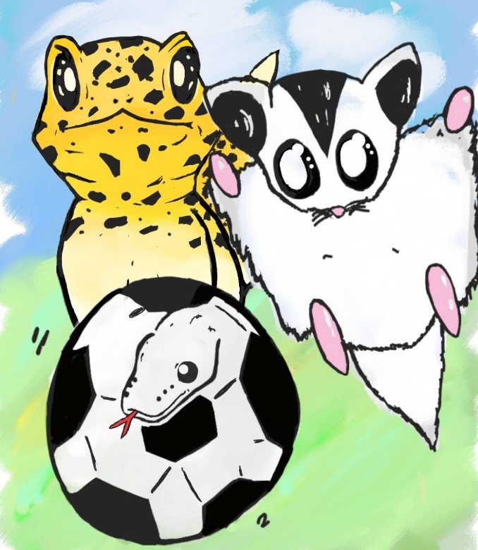 ハンドメイドオーダー