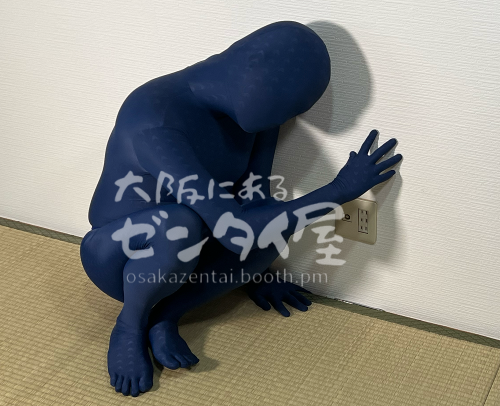 大阪にあるゼンタイ屋さん　ゼンタイ 大阪にあるゼンタイ屋™
